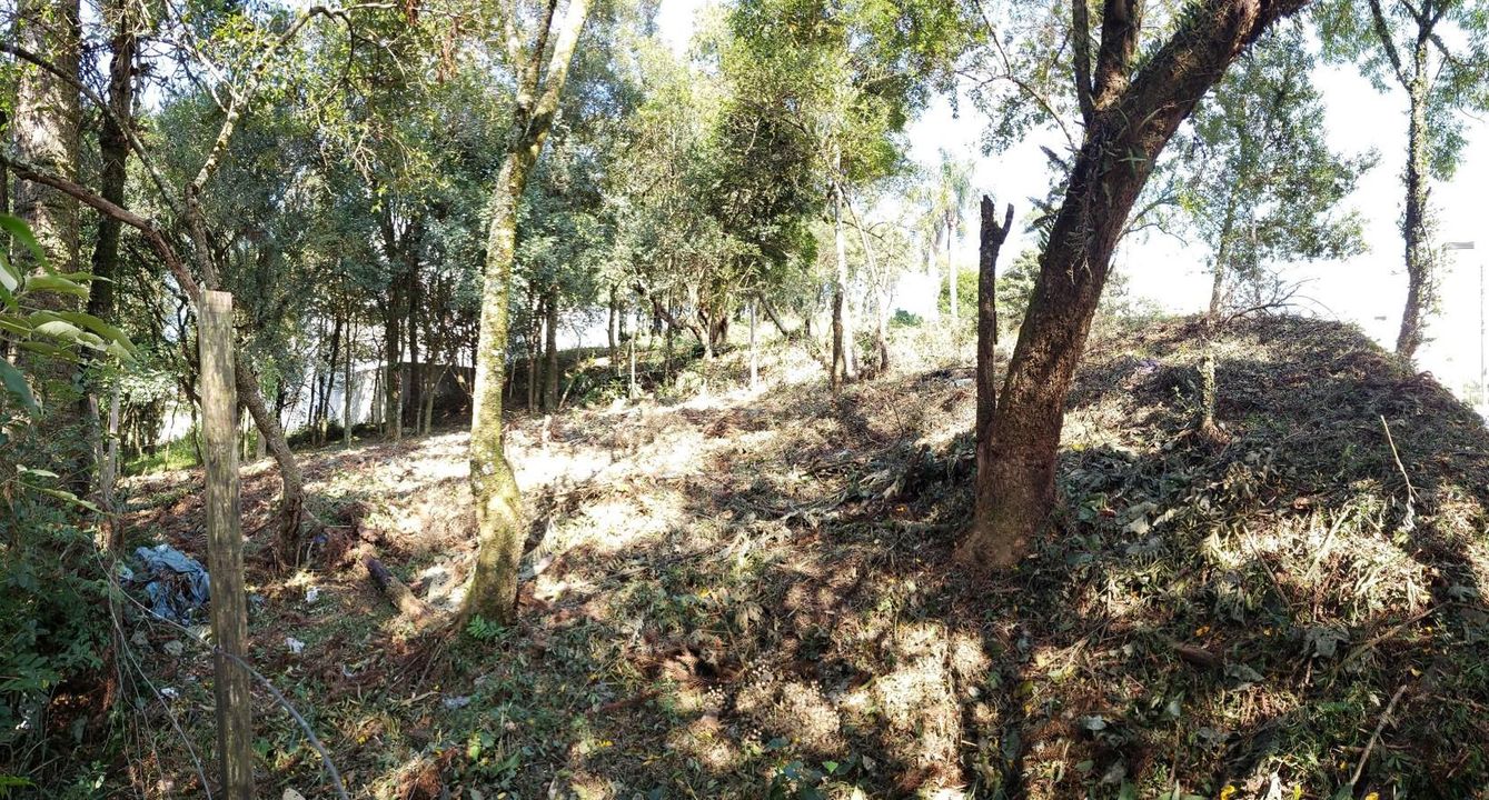 Foto - Caxias do Sul - Bela Vista